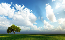 01232-lazydaysii-2560x1600.jpg