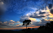 01536-dramaticsky-2560x1600.jpg