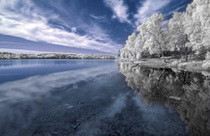 24535-fullsize.jpg